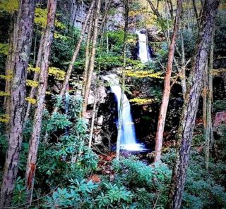 Country Cottage on Stunning Horse Farm in Cherokee National Forest, Tennessee - 9