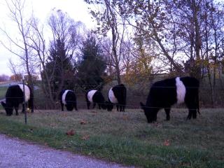 Peaceful Getaway on a Lovely Farm near Hillsboro, Ohio - 3