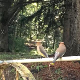 Picturesque Cabin Retreat with Private Sauna near New Richmond, Wisconsin - 6