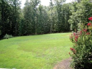 Elegant Lodge Rental with Lovely Countryside Views near Charlottesville, Virginia - 5