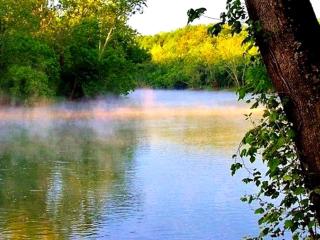 Pet-Friendly Yurt Getaway on the Shenandoah River in Luray, Virginia - 9