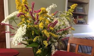 Cozy Mountain Getaway near Biking Trails in Franklin, North Carolina - 6