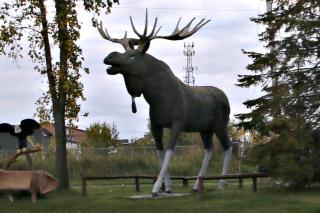 Holiday Inn Express Dryden by IHG - 2