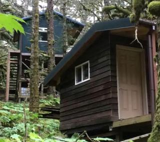 Rustic Cabin Rental for a Secluded Escape to Whale Island, Alaska - 7