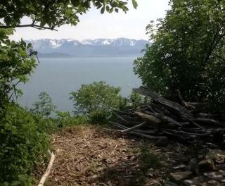 Secluded Tiny House near Kilcher Beach in Homer, Alaska - 8