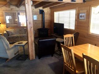 Rustic Cabin Rental with Mountain Views Located in the Gorgeous Gunnison National Forest, Colorado -  - 7