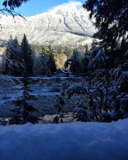 Pet-Friendly Cabin Rental Overlooking a River near Skykomish, Washington - 9