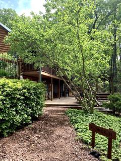 Woodland Log Cabin Rental in the Foothills of the Blue Ridge Mountains, Georgia - 8