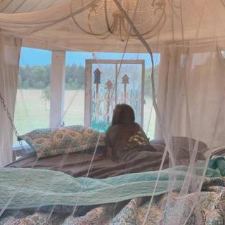 Gorgeous Glamping Tent on a Farm near the Suwannee River, Florida - 8