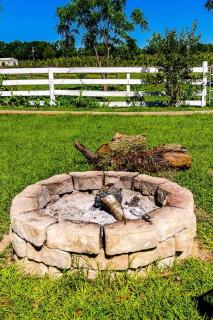 Gorgeous Glamping Tent on a Farm near the Suwannee River, Florida - 6