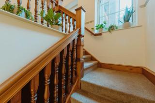 The Catnap Suite - 6