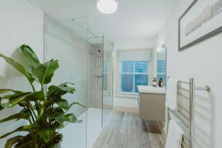 The Catnap Suite - 3