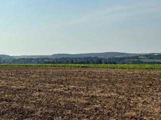 schöne Einliegerwohnung mit Stellplatz - 5