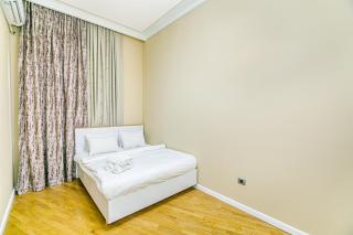 Nizami street Baku new Property - 4