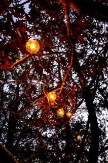 Gorgeous Dome Tent Rental for Romantic Vacations in Texas - 8