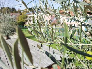 Hotel Garni Landhaus Florian - 6