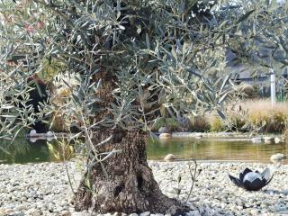 Hotel Garni Landhaus Florian - 9