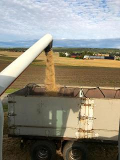 Drengstua på Dahl Østre - 8