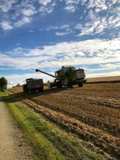 Drengstua på Dahl Østre - 9