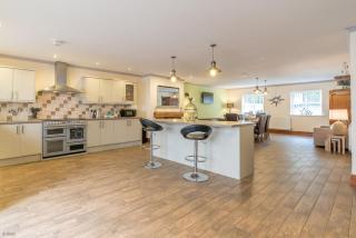 Sycamorwydden - Penmaen-mawr - 8