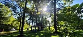 Tree House Glamping Destination near the Ozarks, with River Access for Swimming and Fishing - 6