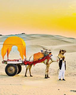 Royaal Exotic Family Luxry Resort And Camp - 5