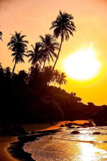 Hiru Villa Tangalle - 8