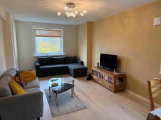 Newly renovated cozy apartment in Helsfyr! - 0