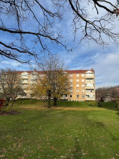 Newly renovated cozy apartment in Helsfyr! - 4