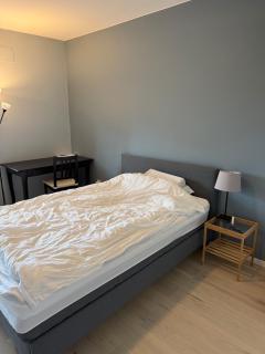 Newly renovated cozy apartment in Helsfyr! - 1