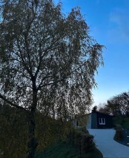 Ferienhaus Wiese - 7