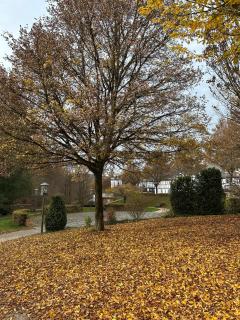 Ferienhaus Wiese - 6