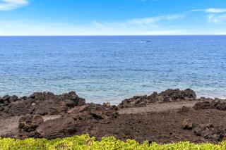 Surf and Racquet 1205 - 3