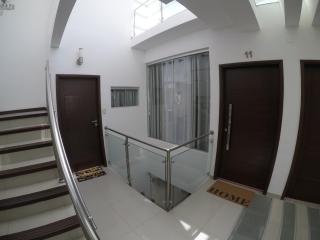 Serenity Palmas- - 7