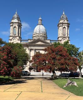 ChivilcoySuiteCentro - 7