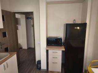 Camelia Apartment - 1