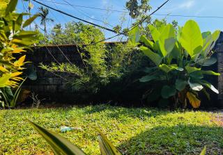 Bambus Alley wayanad - 1