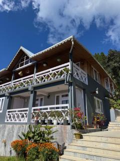 Pine Forest Retreat - 8