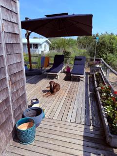 Davis Park Fire Island Retreat - 2