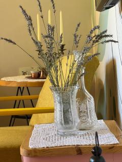 Maus Haus - Vrdnik - 4