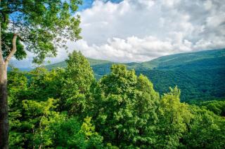 A High Country Retreat - 1