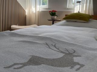 Thüringer Wald-Zauber - 1