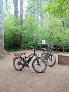 Breathtaking Tiny House with Jacuzzi and Outdoor Shower in Washington - 9