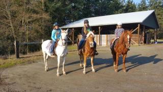 Cozy Bed and Breakfast Suite for Romantic Getaway near Skagit Bay, Washington - Maple Grove Beach - 0