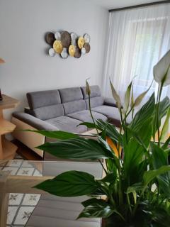 Júlia Apartman Kaposvár*** - 5