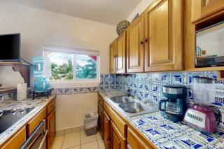 Palm @ Caribe Island - San Pedro - 2