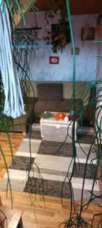 DVOR POD KRíKMI - 2