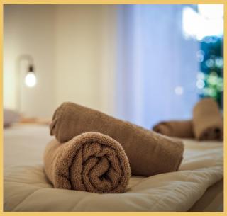 L'Hermitage I T2 I Thonon - 1