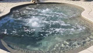 Olive Garden Villa - 8