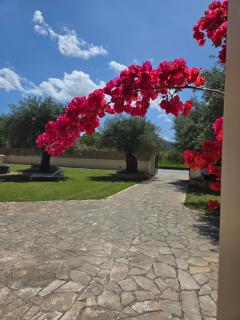 Olive Garden Villa - 0